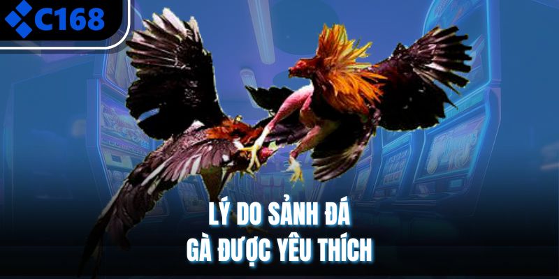 Lý do sảnh đá gà được yêu thích