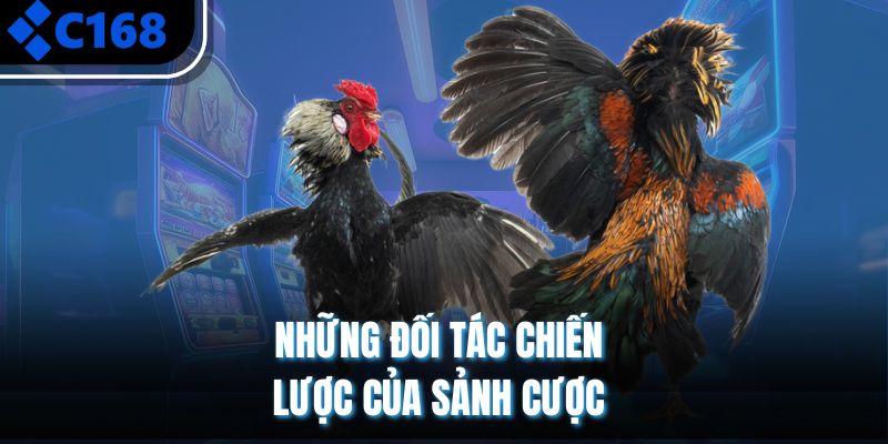 Những đối tác chiến lược của sảnh cược